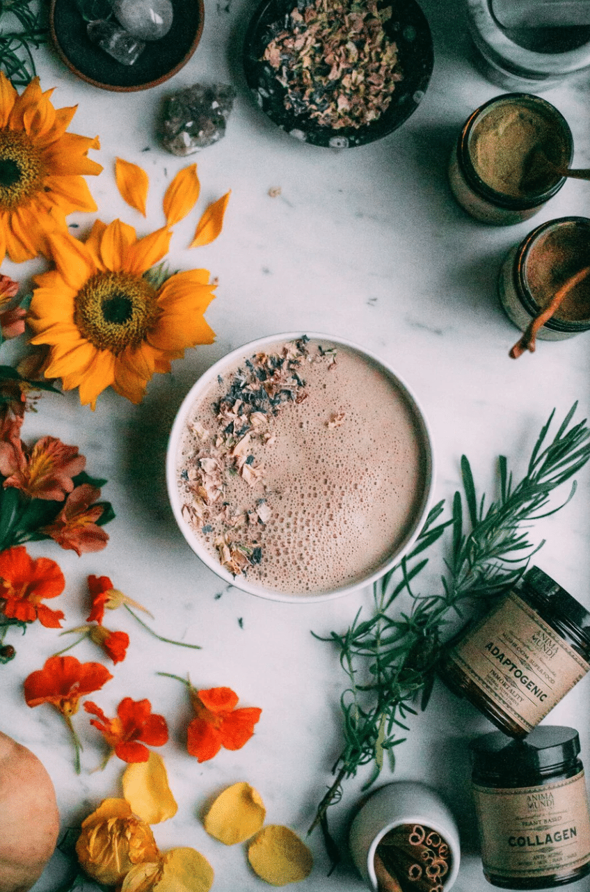 ADAPTOGENIC Powder : 7 Mushrooms + Heirloom Cacao