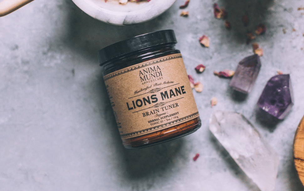 LION'S MANE: Brain + Cognition