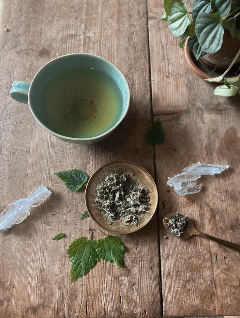 WOMB TEA: Nourish, Tone + Rejuvenate