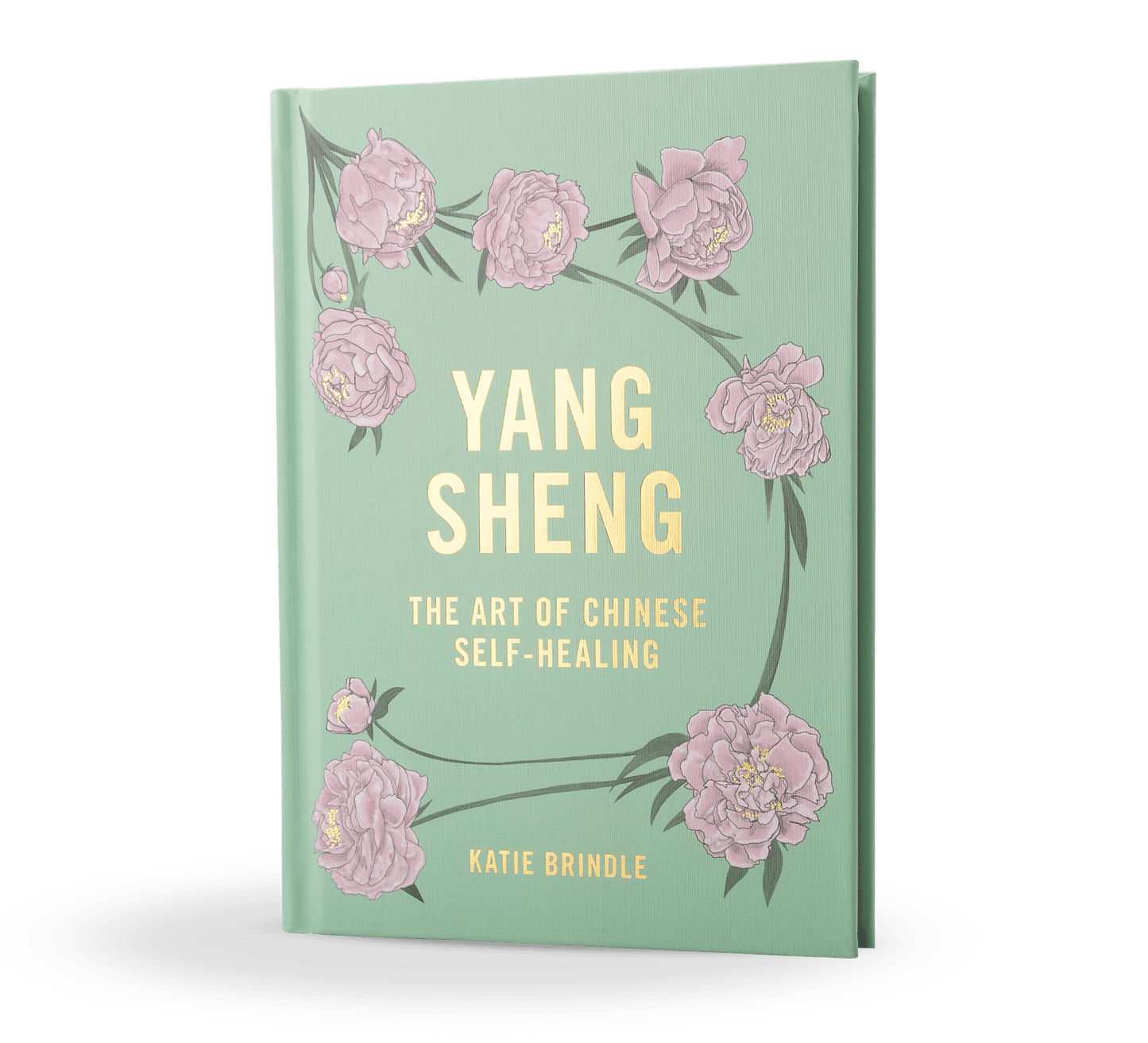Yang Sheng Self Healing Book