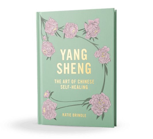 Yang Sheng Self Healing Book