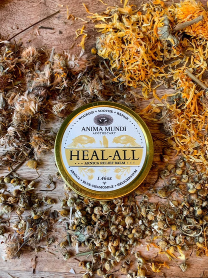 Heal-All Arnica Relief Balm