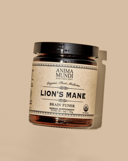 LION'S MANE: Brain + Cognition