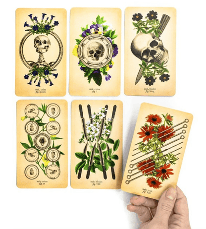 The Antique Anatomy Tarot