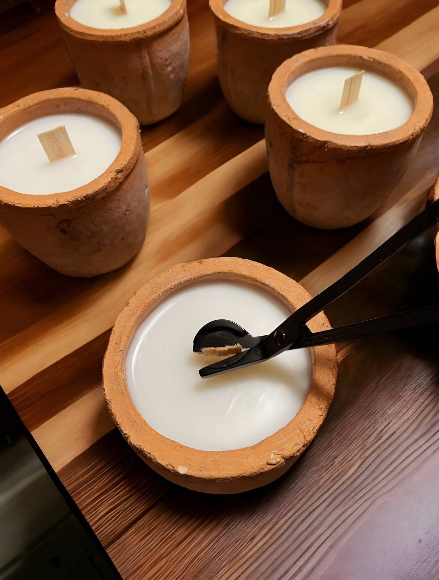 Palo Santo Burn & Grow Candle -Terra Cotta Pot w/ Seed Label