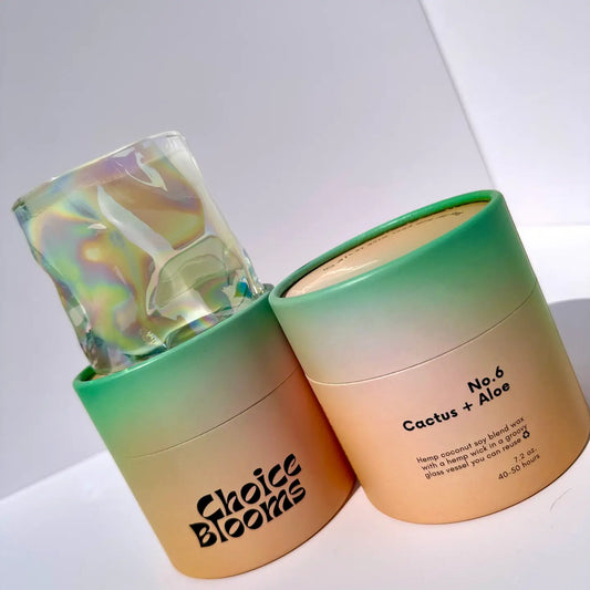 No. 6 Cactus + Aloe Candle