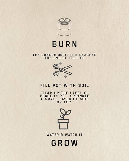 Palo Santo Burn & Grow Candle -Terra Cotta Pot w/ Seed Label